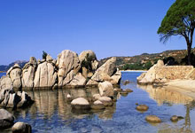 无字无利？有问题！雄鹿客场告负 排名被活塞超越跌至东部第6.